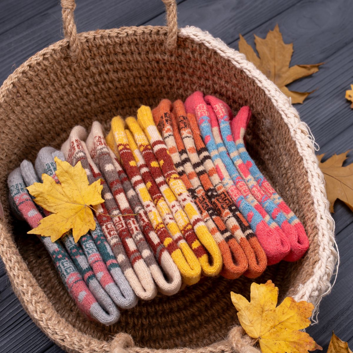 Uppsala Arctic (5 pairs)