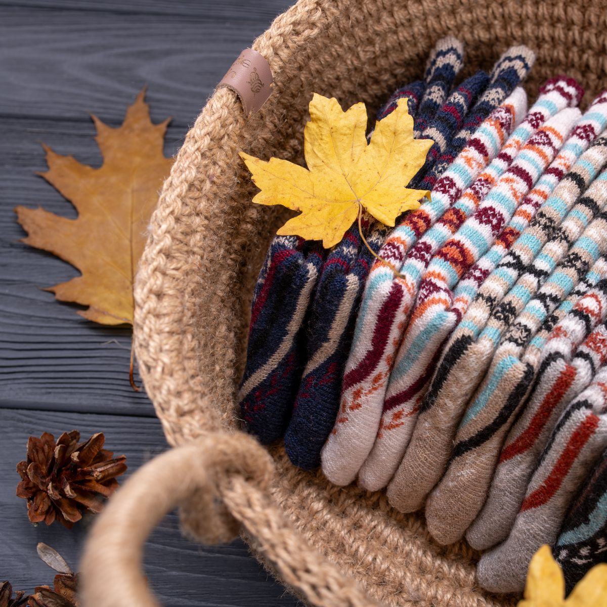 Malmö Arctic (5 pairs)